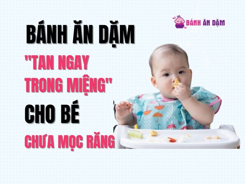 Bánh Ăn Dặm Loại Nào "Tan Ngay Trong Miệng" Cho Bé Chưa Mọc Răng?