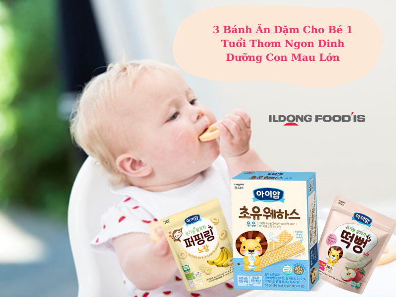 3 Bánh Ăn Dặm Cho Bé 1 Tuổi Thơm Ngon Dinh Dưỡng Con Mau Lớn