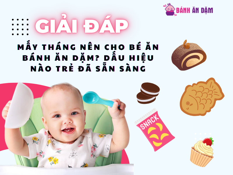 Mấy Tháng Nên Cho Bé Ăn Bánh Ăn Dặm? Dấu Hiệu Nào Trẻ Đã Sẵn Sàng